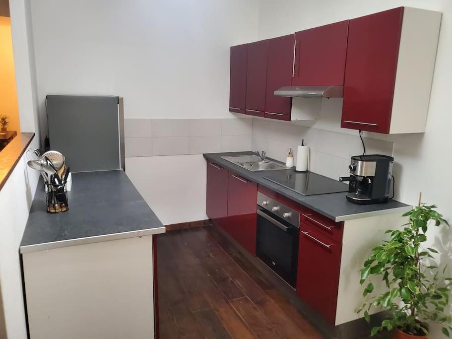 Appartement Moderne En Ville Армантьер Экстерьер фото